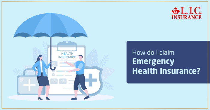 How Do I Claim Emergency Health Insurance | Canadian LIC