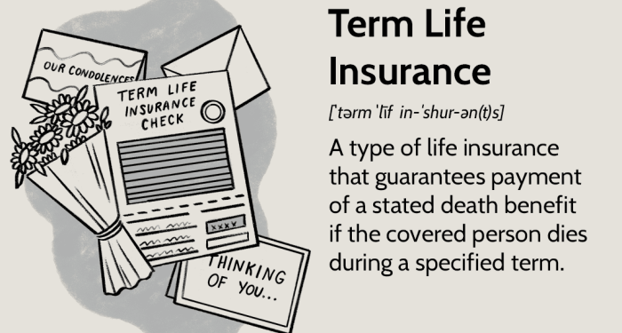 Term Life Insurance: What It Is, Different Types, Pros and Cons