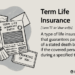 Term Life Insurance: What It Is, Different Types, Pros and Cons