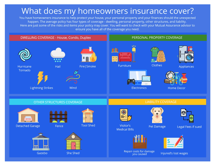 Buying a Homeowners Insurance Policy: A Physician's Guide